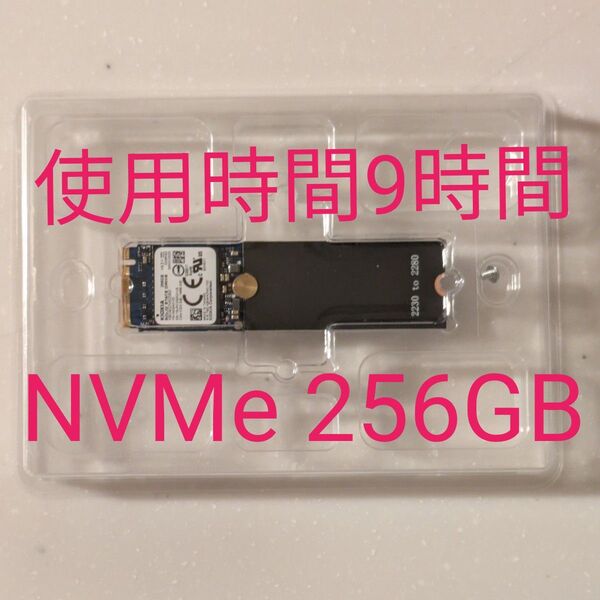 KIOXIA M.2 NVMe SSD 256GB KBG40ZNS256G使用時間9時間