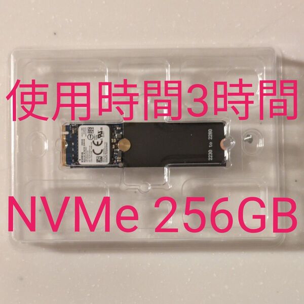 KIOXIA M.2 NVMe SSD 256GB KBG40ZNS256G使用時間3時間