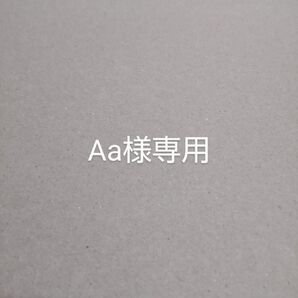 Aa様専用