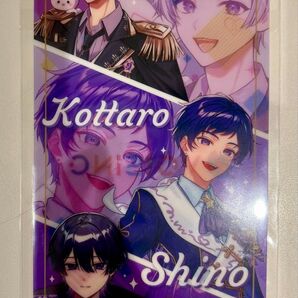 ナムコ VOISING チップス3 オリジナルチケットファイル