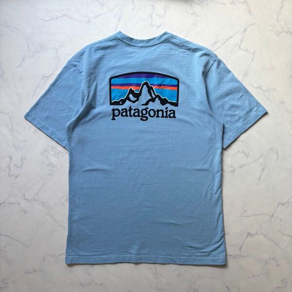 patagonia パタゴニア 半袖 Tシャツ
