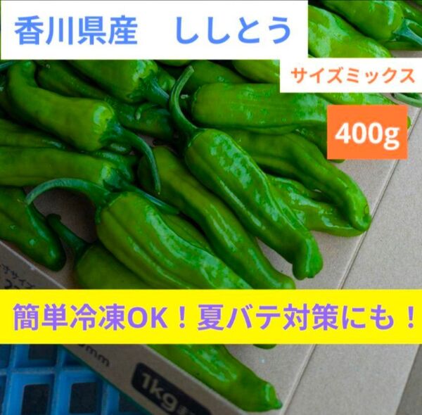香川県産ししとう 400g|ネコポス発送/夏バテ対策に◎
