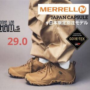 極美品 日本限定 メレル カメレオン 8 ストーム ゴアテックス ジャパンカプセル 29 MERRELL CHAMELEON 8
