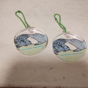 江ノ島水族館 アクリルキーホルダー 2個セット