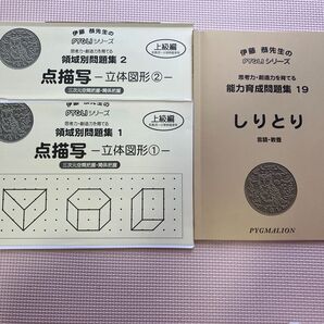 ピグマリオン 点描写立体図形①②、しりとり セット