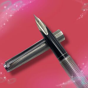 《美品》 パイロット カスタム 万年筆 ペン先18KWG スターリングシルバー