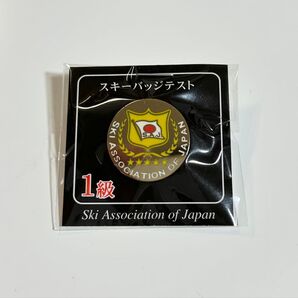 SAJ スキーバッジテスト 1級