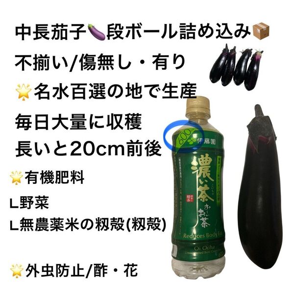 名水百選!無農薬!農家直送/中長茄子(なすび)一般料理用/80cm箱〜5kg/大きめ不揃い/傷なし・傷ありB2