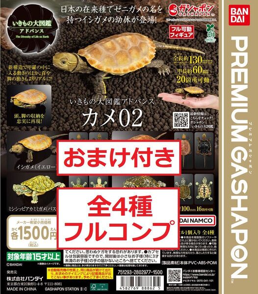 いきもの大図鑑アドバンス カメ02 全4種 イシガメ ミシシッピアカミミガメ 他 ガチャ フィギュア プレミアムガシャポン K
