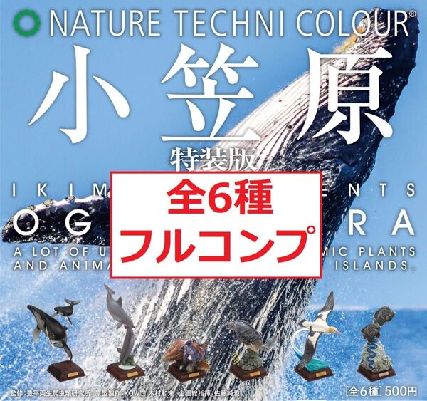 NATURE TECHNI COLOUR ネイチャーテクニカラー 小笠原 特装版 全6種 NTC ガチャ フィギュア I