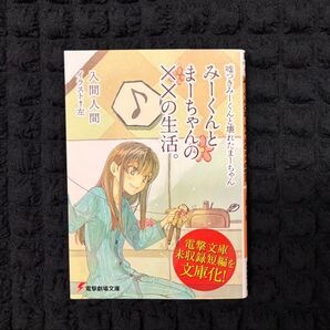 小説 嘘つきみーくんと壊れたまーちゃん 「みーくんとまーちゃんのの生活。」 入間人間