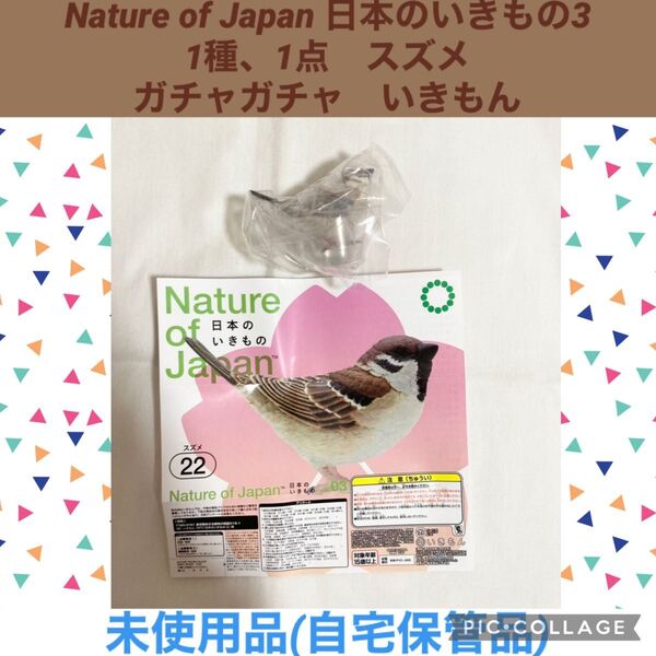 Nature of Japan 日本のいきもの3 1種 1点 スズメ ガチャガチャ いきもん フィギュア 雀 鳥 カプセルトイ