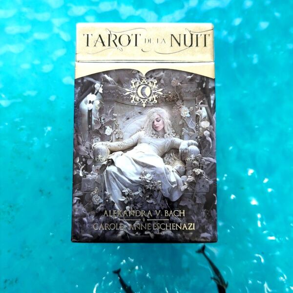 TAROT DE LA NUIT タロットカード