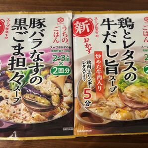 うちのごはん 鶏とレタスの牛だし旨スープ・豚バラなすの黒ごま坦々スープ