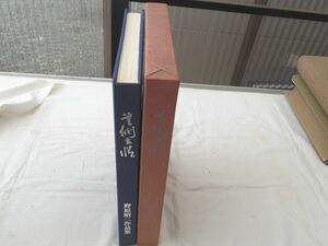 0028677 芸術有情 ふるさとの芸術家五十人 野原昭二作品集 野原昭二 のはら写真館 昭和57年