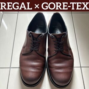 【完全防水】RAGAL GORE-TEX ポストマン 26.5cm ゴアテックス
