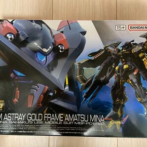 RG ゴールドフレーム天ミナ RGユニコーンガンダム HGZガンダム