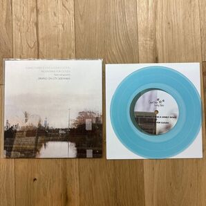 Empire! Empire! (I Was A Lonely Estate) / Mountains〜 7インチレコード