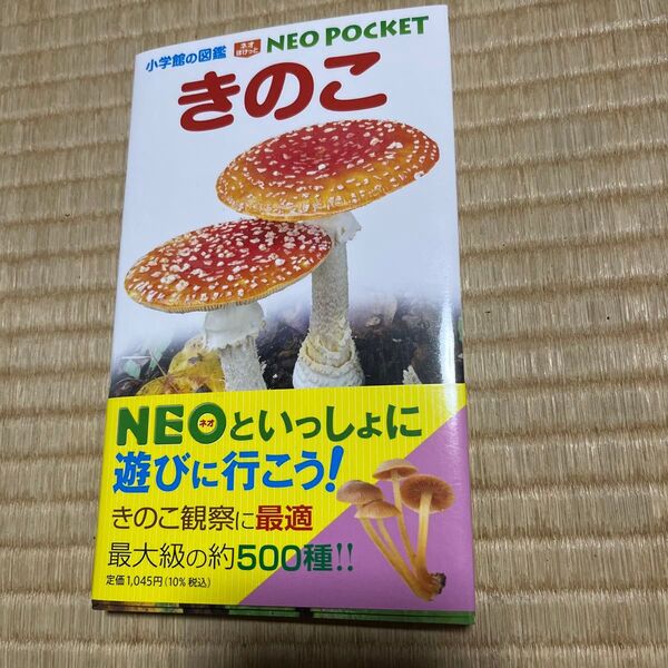 小学館の図鑑 NEO POCKET きのこ