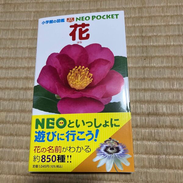 小学館の図鑑 NEO POCKET 花