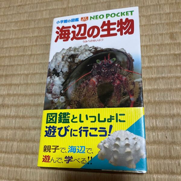 小学館の図鑑 NEO POCKET 海辺の生物