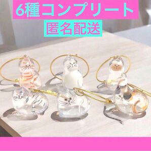 うちの子のけだまだま 三毛猫 ガチャうちの子のけだまだま ペット用品 猫のガチャ毛玉入れキーホルダー ねこガチャ カプセルトイ