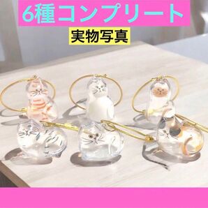 うちの子のけだまだま 三毛猫 ガチャうちの子のけだまだま ペット用品 猫のガチャ毛玉入れキーホルダー ねこガチャ カプセルトイ