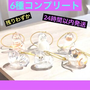 うちの子のけだまだま コンプリートセット ブライトリンク フルコンプ 茶トラ ノーマル シャム猫 サバトラ ハチワレ 三毛猫