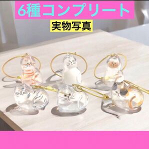 うちの子のけだまだま ブライトリンク コンプリートセット フルコンプペット用品 猫のガチャ毛玉入れキーホルダー ねこガチャ