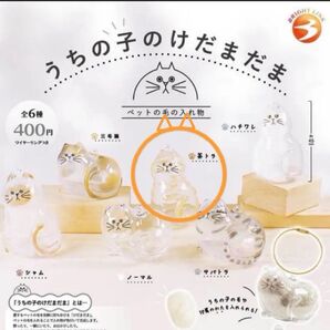 うちの子のけだまだま ガチャ 【茶トラ 】カプセルトイ 新品 未使用 正規品 本物 刻印あり 即日発送 大人気 けだまだま