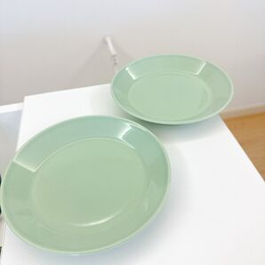 廃盤カラー iittala ティーマ 17cm セラドングリーン フィンランド製