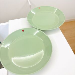 廃盤カラー iittala ティーマ 21cm セラドングリーン フィンランド製