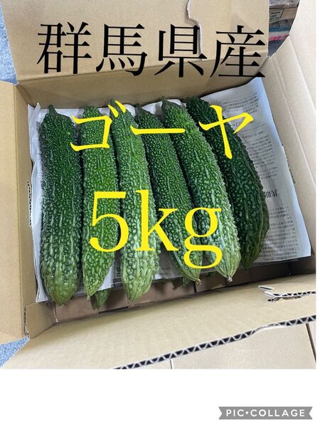 ☆ゴーヤ 群馬県産 新鮮 5キロ☆