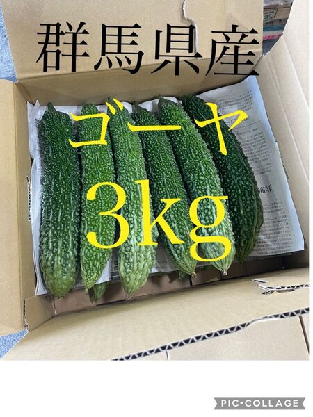 ☆ゴーヤ 群馬県産 新鮮 3キロ☆