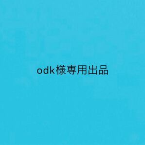 odk様専用出品