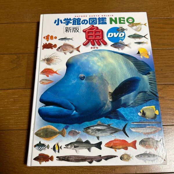 小学館の図鑑NEO 魚 カバーなし/DVDなし