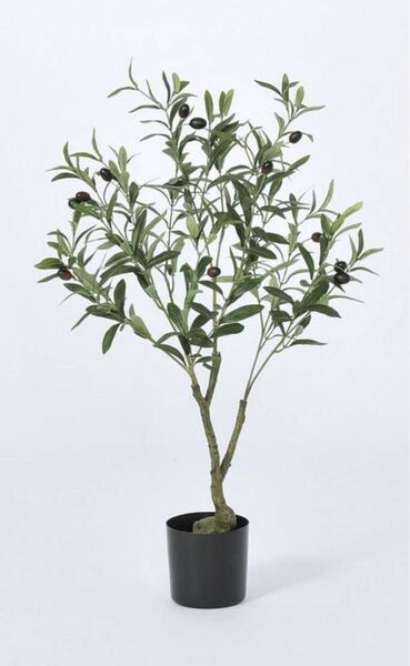 残り6鉢 ③超破格!新品!オリーブ 大 1鉢 造花 フェイクグリーン 観葉植物