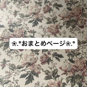 おまとめページ No.839 No.814 No.841 ミニチュアスーパーボールすくい フード キリンお散歩バルーン ずんだ餅