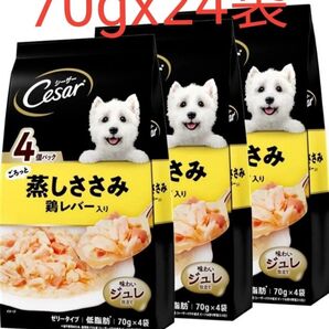 シーザー ドッグフード ごろっと蒸しささみ 鶏レバー入り 成犬用 70g×4袋入x6袋 計70gx24袋セット