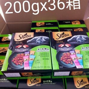 シーバ デュオ Sheba DUO デュオ キャットフード 成猫用200g×36箱セット 贅沢お魚味グルメセレクション