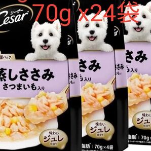シーザー ドッグフードごろっと蒸しささみ さつまいも入り成犬用70g×4袋入×6袋 計24袋セット