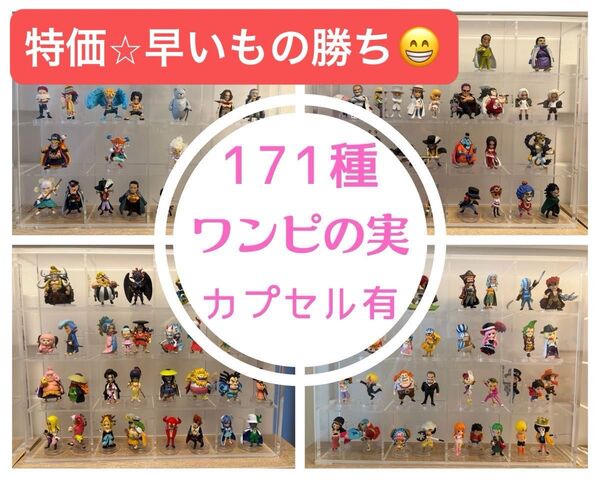 ワンピの実 171種 まとめ 二十二海戦 コンプ シャンクス ワノ国 エッグヘッド 反乱軍 海軍 海賊 ルフィ 25周年 あにまる