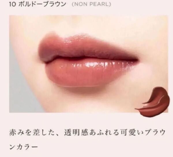 新品 Opera オペラ リップティント N (10 ボルドーブラウン)