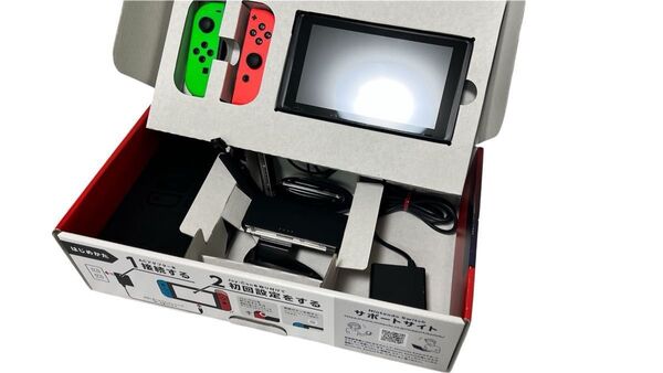 Nintendo Switch ニンテンドー スイッチ ジャンク