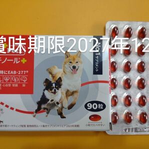 アンチノールプラス 犬用アンチノール