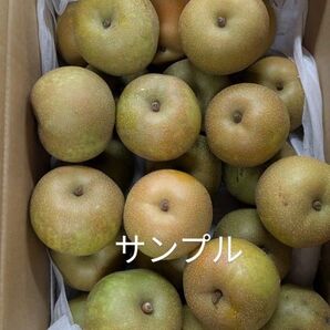 千葉県産・訳あり4キロ幸水梨