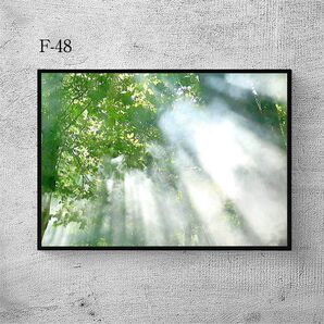 A4サイズ 送料無料 インテリアポスター アート作品 写真 素敵 キレイ 可愛い ポスターインテリア 自然を感じるインテリア