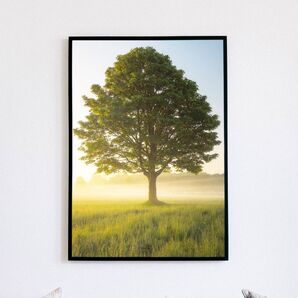 A4サイズ 送料無料 インテリアポスター アート作品 写真 素敵 キレイ 可愛い ポスターインテリア 自然を感じるインテリア
