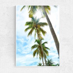 A4サイズ 送料無料 インテリアポスター アート作品 写真 素敵 キレイ 可愛い ポスターインテリア ヤシの木インテリア