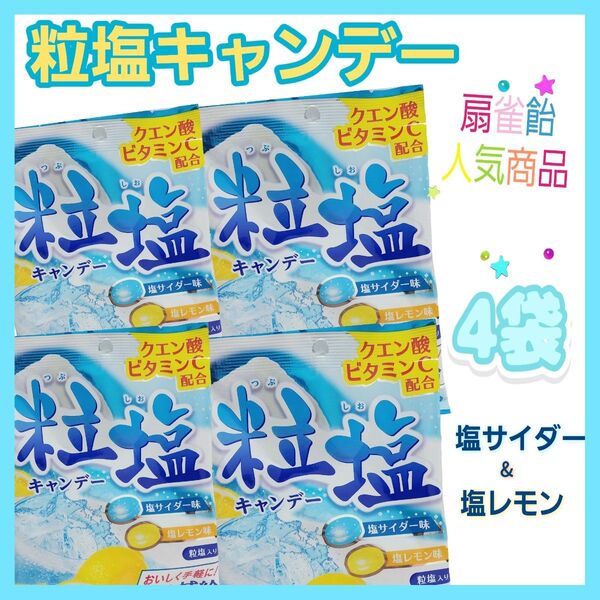 粒塩キャンデー50g×4袋 塩サイダー味・塩レモン味 塩飴 しお飴 熱中症対策